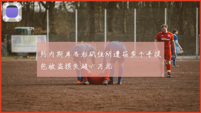 约内斯库洛杉矶住所遭窃多个手提包被盗损失超六万元