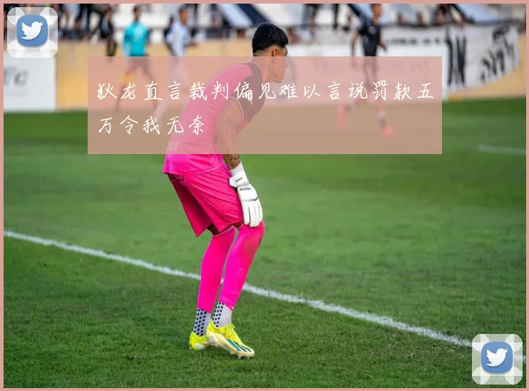 狄龙直言裁判偏见难以言说罚款五万令我无奈