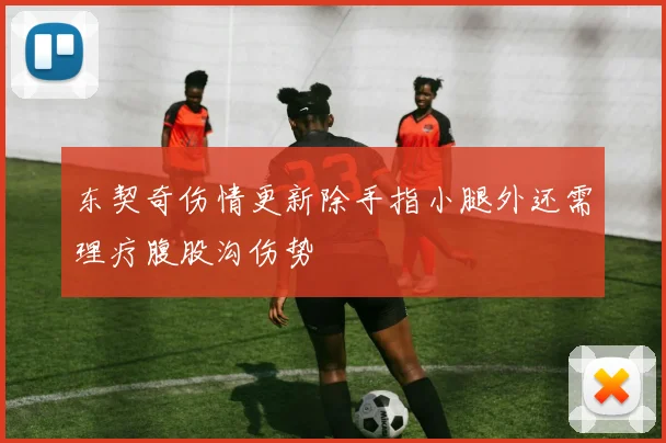 东契奇伤情更新除手指小腿外还需理疗腹股沟伤势