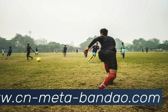 半岛体育发展历程